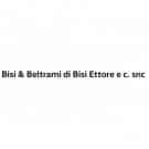 Bisi e Beltrami auto nuove ed usate